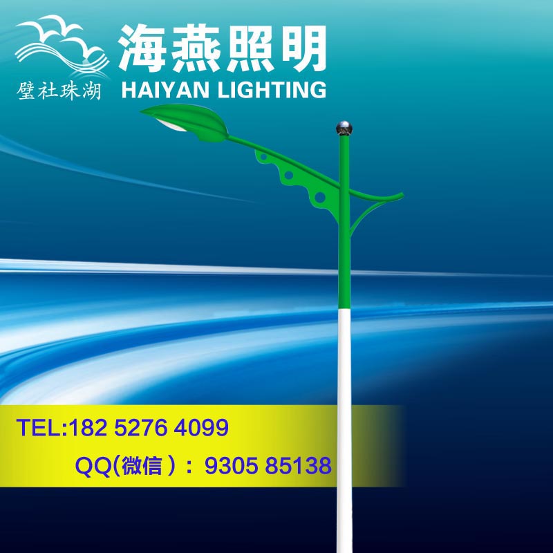 龍游單臂LED小區路燈