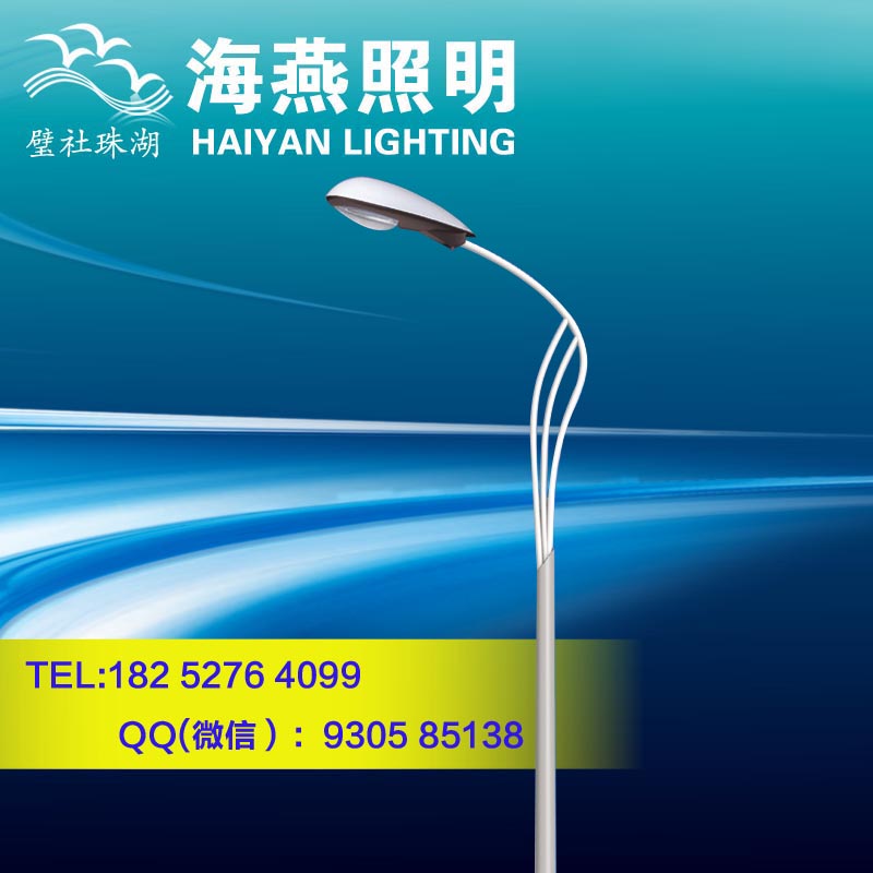  樅陽LED單臂路燈